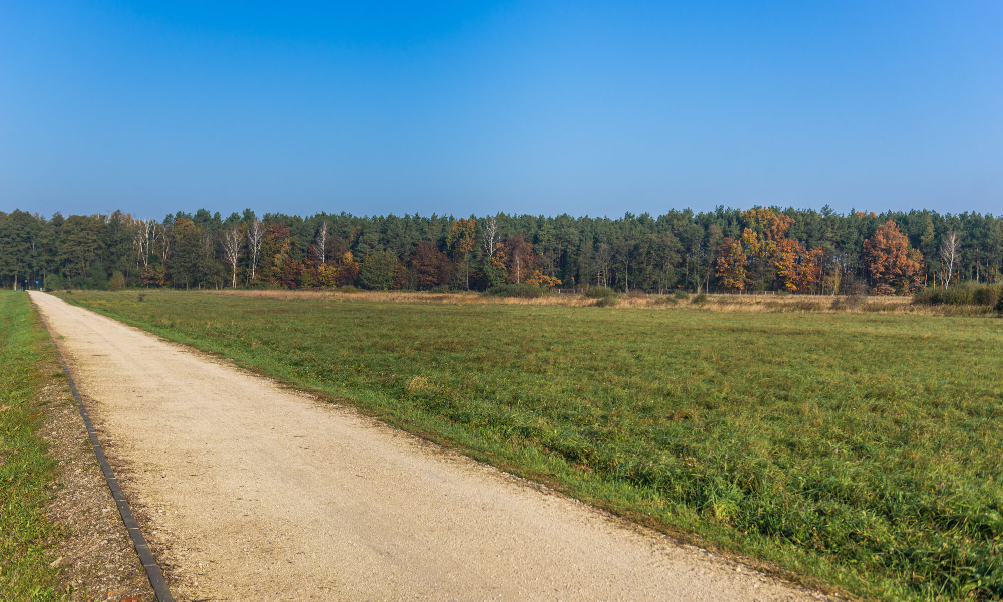 Biuro tłumaczeń Stare Babice