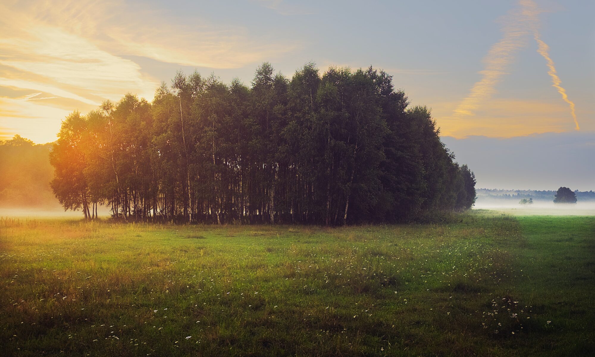 Biuro tłumaczeń Radomyśl nad Sanem